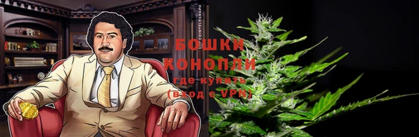 apvp Алзамай