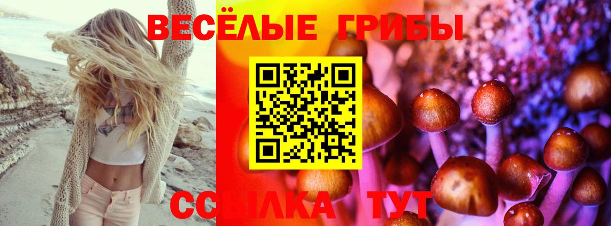 Псилоцибиновые грибы Cubensis  купить наркотик  Вход с VPN  Сургут  Псилоцибиновые грибы мухоморы 
