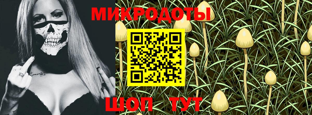 Псилоцибиновые грибы мухоморы Сургут